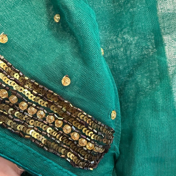 Frontier Green and Gold Saree with hand embroidery - Picture 11 of 17